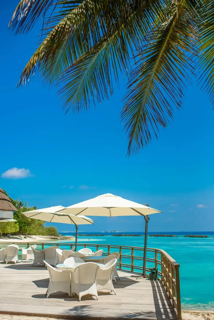 Study in Mauritius